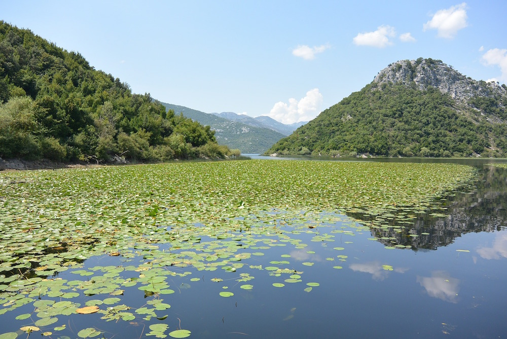Montenegro Skutari See