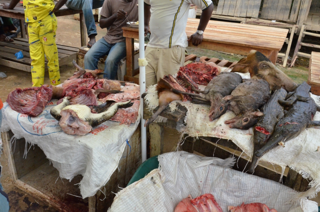 afrikanische Waldtiere auf einem Markt
