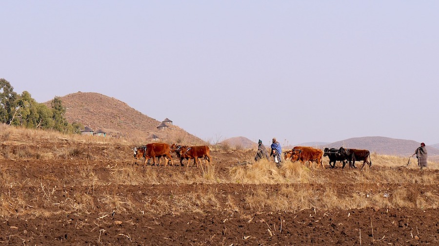 Landschaft Lesotho