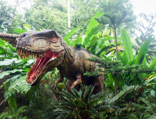Artensterben: Schlimmer als das Dinosauriersterben – Alarmierende Zerstörung der biologischen Vielfalt