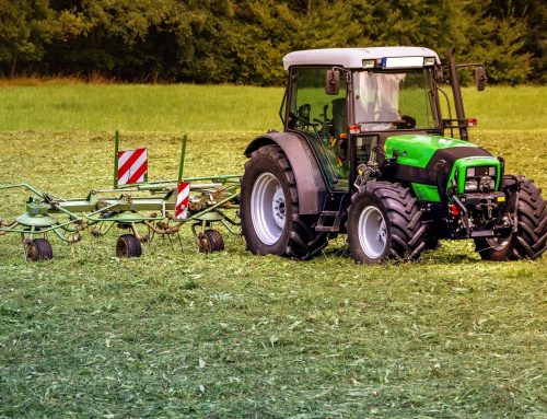 CDU Abgeordnete Connemann und Stegemann: Erntebericht 2021 – Landwirtschaft muss sich auf Klimaänderungen einstellen